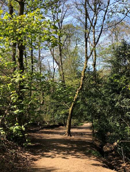 CLBC-local walks through Leasowes Park 2021-L.Riley.