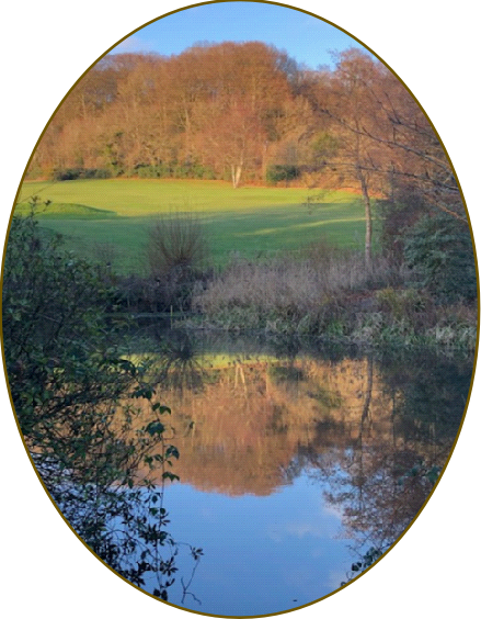 Reflections in Leasowes - L.Riley