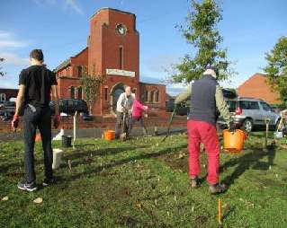 Oct 2019- 1000 daffodils being planted in front of Carters Lane Baptist Church.